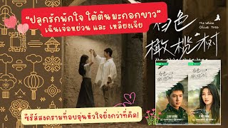 “ปลูกรักพักใจ ใต้ต้นมะกอกขาว” ซีรีส์สงครามที่อบอุ่นหัวใจยิ่งกว่าที่คิด! 🌿❤️