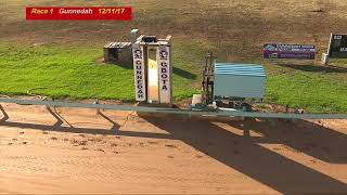 Gunnedah-12112017-Race-1