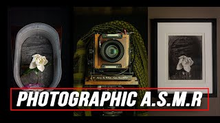 Photographic ASMR: Magnolia | Large Format Photography and Print Making