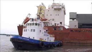 Cape - Bulk Carrier in Toronto