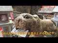 不思議な世界に迷い込みたくて信貴山・朝護孫子寺に行ってきました。walked chogosonshiji temple in nara.