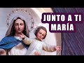 Hermosa cancion a nuestra Madre Santísima - Las mejores te fortalecerá tu corazón alma y Espíritu