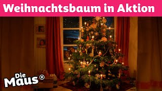 Was macht denn der Weihnachtsbaum da? | DieMaus | WDR