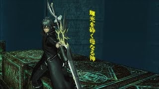 [PSO2] 輝光を砕く母なる神 Hr 8:48