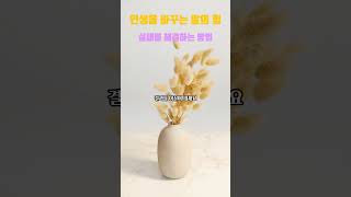 [당신은 과거의 실패로 정의되지 않습니다] - 인생을 바꾸는 말의 힘 - 삶의 지혜 - 동기부여 - 긍정마인드 - 마인드셋 - 오디오북 - 명언 - 확언 - #명언 - Short