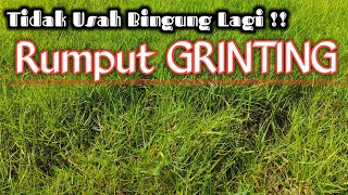 Cara Ampuh Atasi Rumput GRINTING di sawah | Racikan Herbisida Ampuh