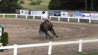 Video of CASTELLINA DELLA CACCIA ridden by LAURIE B. STEVENS from ShowNet!