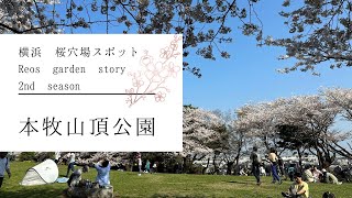 【横浜✿本牧山頂公園】桜の穴場スポット ～Reos garden story 2nd season～