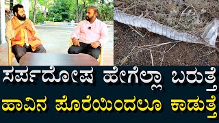 ಸರ್ಪದೋಷ ಹೇಗೆಲ್ಲ ಬರುತ್ತೆ? | ಹಾವಿನ ಪೊರೆ ತುಳಿದ್ರು ಕಾಡುತ್ತೆ ?