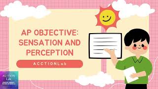 AP Psychology: Sensation and Perception Part 1 (FREE LESSON)