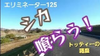 ジビエ料理　道の駅織部の里