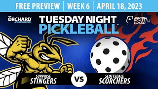 FREE PREVIEW - AZ PBL: Surprise Stingers vs Scottsdale Scorchers  (Tue Apr 18, Season 1, Week 6)