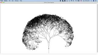 L System Realistic tree, drawn with python lib turtle.