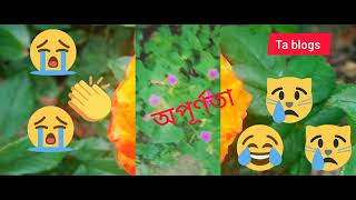 অপূর্ণতা, জীবনের সবকিছুই অপূর্ণতা1