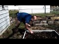 intercropping spring beets and radishes