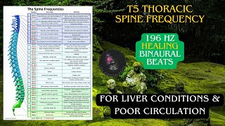 T5 Thoracic Spine Frequency: 196 Hz Binaural Beats Healing for Liver and Circulation