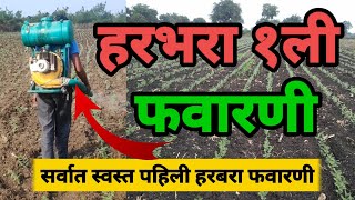 हरभरा पहिली फवारणी कोणती | हरभरा पहिली फवारणी किती दिवसांनी | Harbhara pahili favarni | #हरभराफवारणी