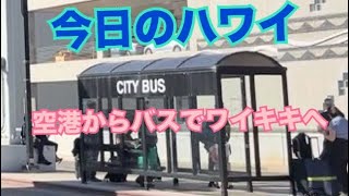 【今日のハワイ】Hawaii Today 空港から『The Bus』でワイキキに帰るので、バス停の場所をご案内しますね！(^_−)−☆