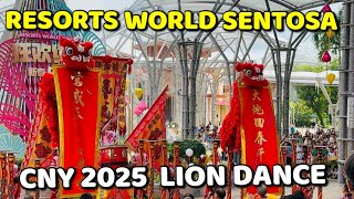 Award Winning Lion Dance | CNY 2025 | Singapore Resorts World Sentosa