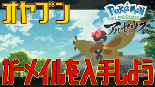 【ポケモンアルセウス】オヤブンのガーメイルを入手しよう【Pokémon LEGENDS アルセウス】