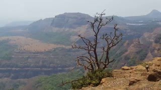 Lion's Point - Lonavala Sightseeing