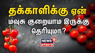 தக்காளிக்கு ஏன் மவுசு குறையாம இருக்கு தெரியுமா? | Tomato | Thakkali | Tamil News