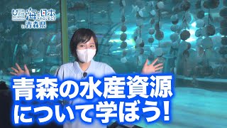 アクア学びうむ～豊かな地球を未来に～ 日本財団 海と日本PROJECT in 青森県 2022 #04