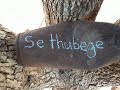 Khoisan-Se thubege (Unofficial Lyrics Music Video) @banturepublicchannel