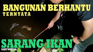 BUSEETT..!! Sarang Channa Limbata | Di Bangunan Berhantu