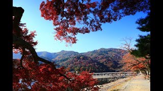 大阪 | 京都 | 遇見楓紅 | 超值跑馬+賞楓 Part II