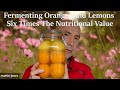 How to Ferment Oranges & Lemons The Peel Becomes Edible & Has 6 X the Nutritional Value of the Fruit