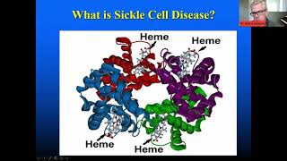 Fetal hemoglobin in Sickle Cell Disease Hydroxyurea and beyond (Dr.Robert Klaasen)