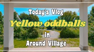 [VLOG] 브이로그|충청북도 보은|감성 캠핑장 어라운드빌리지(AROUND VILLAGE) 후기|보은에 이런 곳이 있었다고?