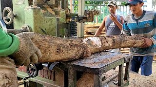 gergaji mesin bandsaw menggergaji limbah kayu jati bahan mebel