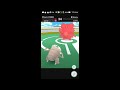 大甲試打幸福蛋練習 pinsir vs. blissey test