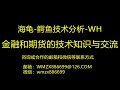 美期货技术分析2020年2月30日 us futures technical analysis february 30 2020 米国先物テクニカル分析2020年2月30日 推荐书籍：日本蜡烛图