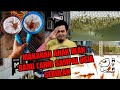 CARA MUDAH ASINGKAN ARTEMIA DAN CARA BAGI MAKAN PADA ANAK IKAN.