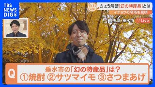 夫婦が約40年かけ作り上げたイチョウを眺めながら…12月1日解禁の「幻の特産品」ってナニ？鹿児島県垂水市をすたすた！｜TBS NEWS DIG