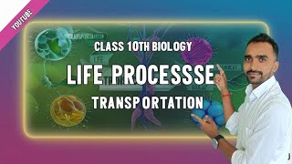 TRANSPORTATION IN HUMAN BEING Class 10th Biologyboard exam 2025