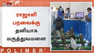 ராஜாளி பறவைக்கு தனியாக மருத்துவமனை | #AbuDhabi | #FalconHospital