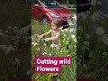 Wild Flowers! #granddaughter #wildflowers #cutting#happy #family #ashville #shorts @Lalrinmawii7