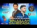 Waliullah Sahibzada's full podcast with Umer Malik today tiktok  live nov:25 full live hd video