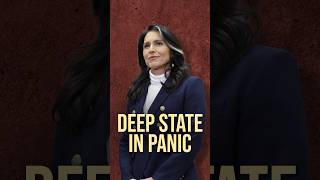 Deep State in Panic