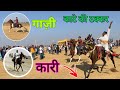 गाज़ी और कारी के बीच काटे की टक्कर || Horse Rewal Racing at Vekriya Rann 2023