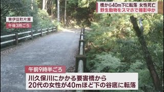 20代女性が橋から40m転落し死亡…「シカを見たい」とスマホで撮影中　静岡・東伊豆町