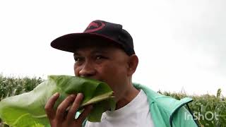 kain buko hiking trails