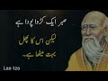 lambi umar pany ka aik qeemti raaz long live chinese secret quotes aqwalezareen aqwalchina news