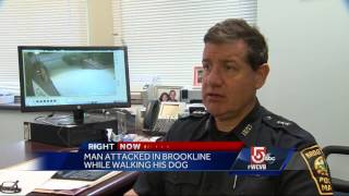 Man stabbed while walking dog in Brookline