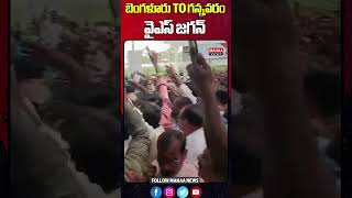 బెంగళూరు TO గన్నవరం వైఎస్ జగన్ | ys Jagan at Gannavaram apartment | Mahaa News