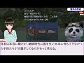 韓国民｢日本のバスケットボールを見たけど、日本は本当に西洋を憧れているようですね｣【ニュース･スレまとめ･海外の反応･韓国の反応】パリ五輪